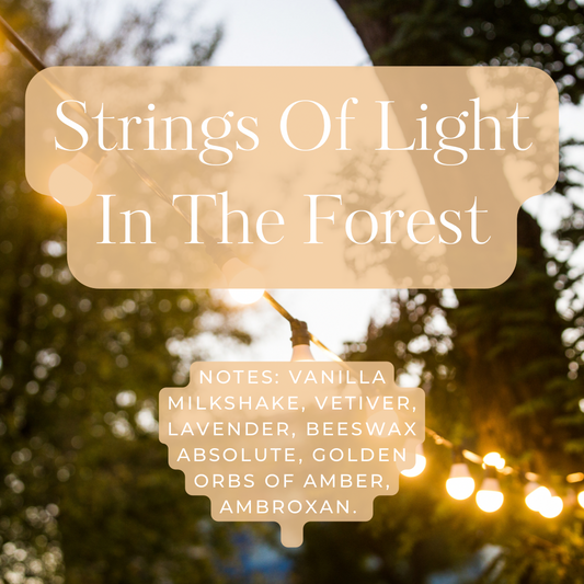 Strings of Light in the Forest Extrait de Parfum - Special Order
